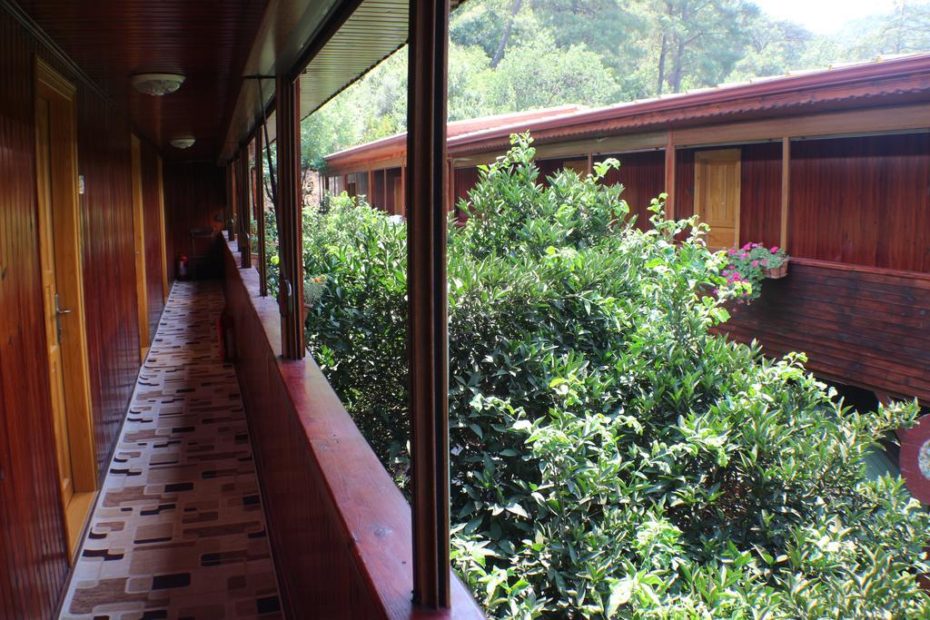 Divasa Hotel Olimpos Dış mekan fotoğraf