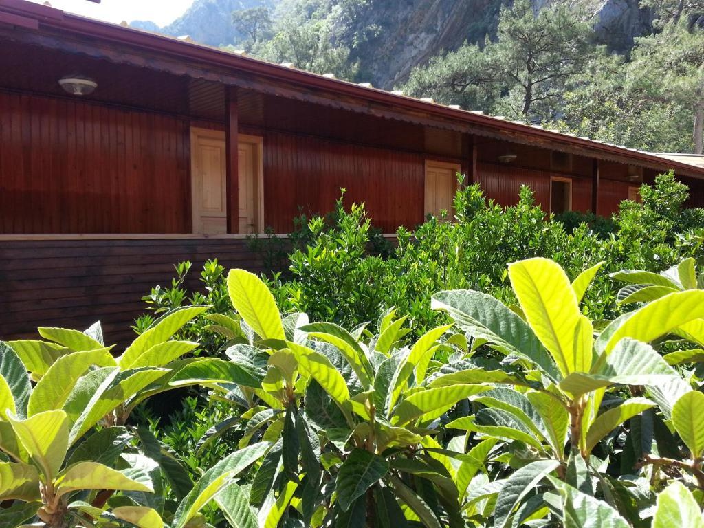 Divasa Hotel Olimpos Dış mekan fotoğraf