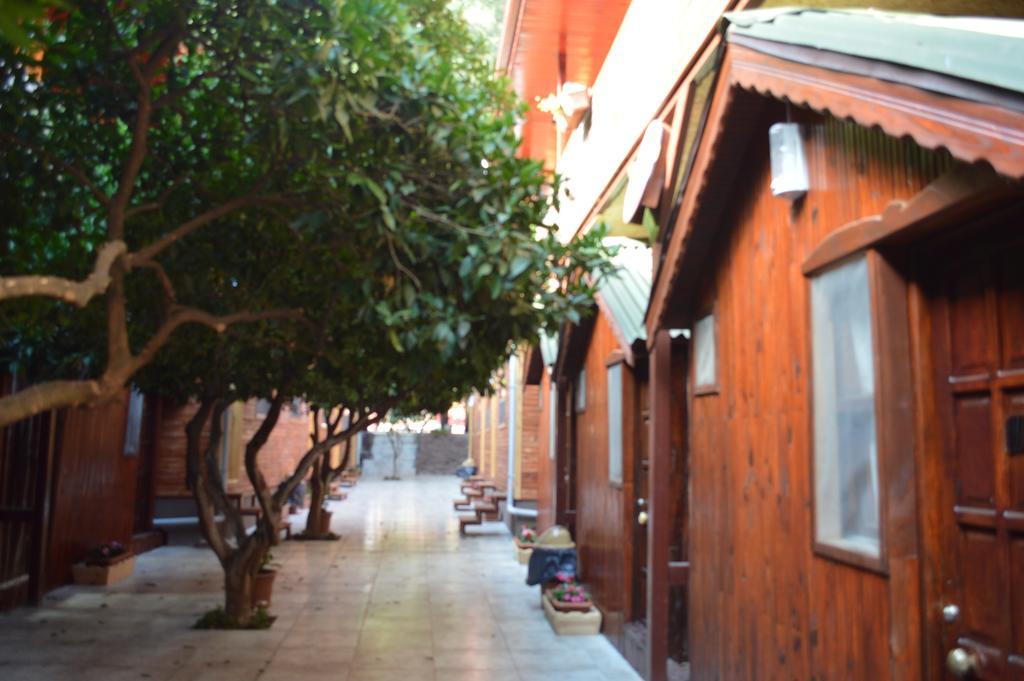 Divasa Hotel Olimpos Oda fotoğraf